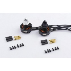 Set motorare DYS BX1804 / 2300KV L+R