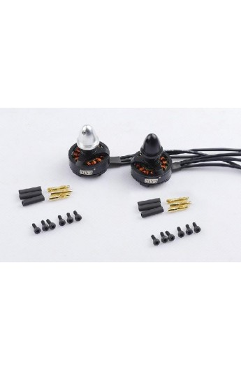 image: Set motorare DYS BX1804 / 2300KV L+R